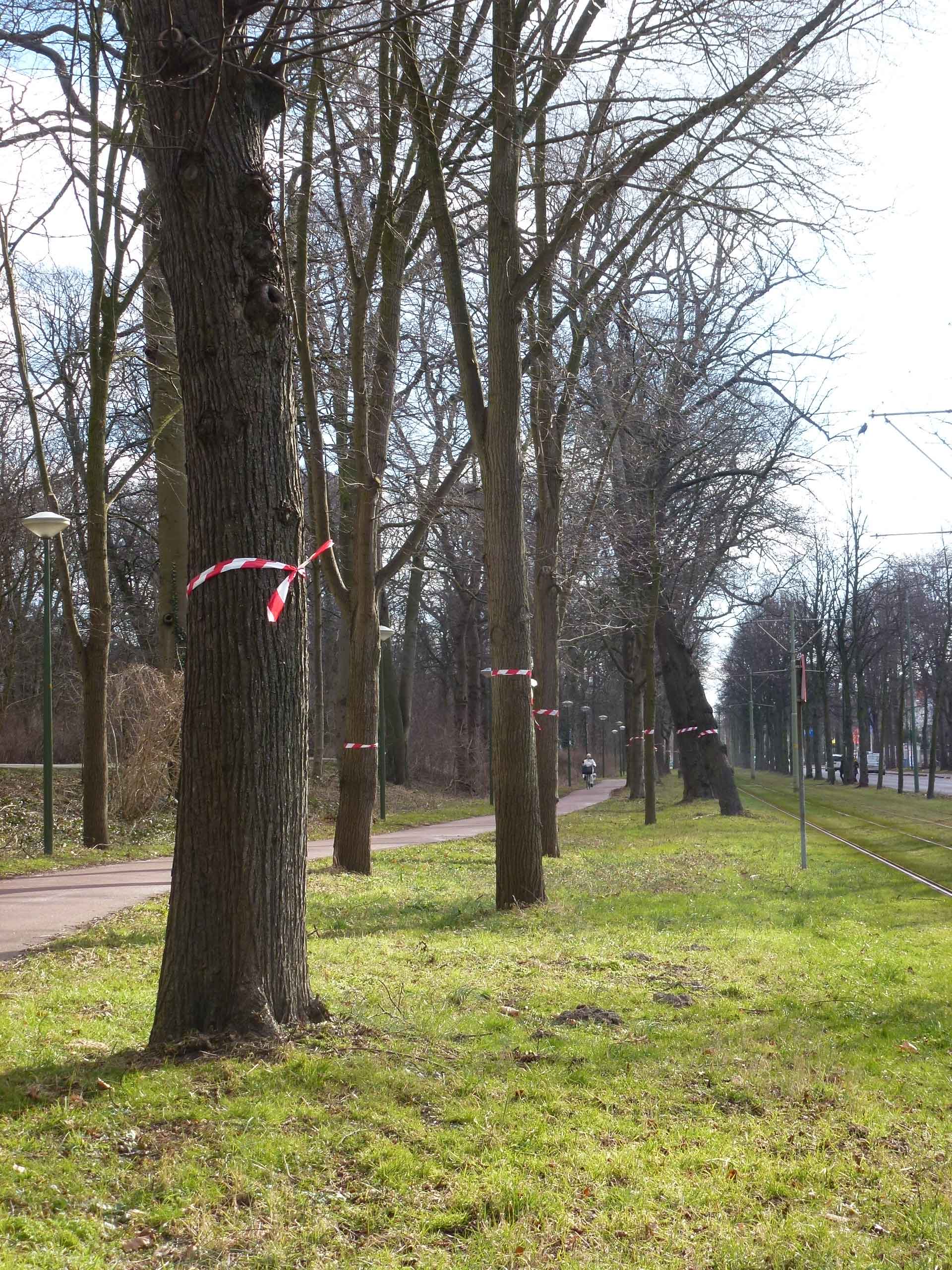 Rechter wijst verzoek om voorlopige voorziening af