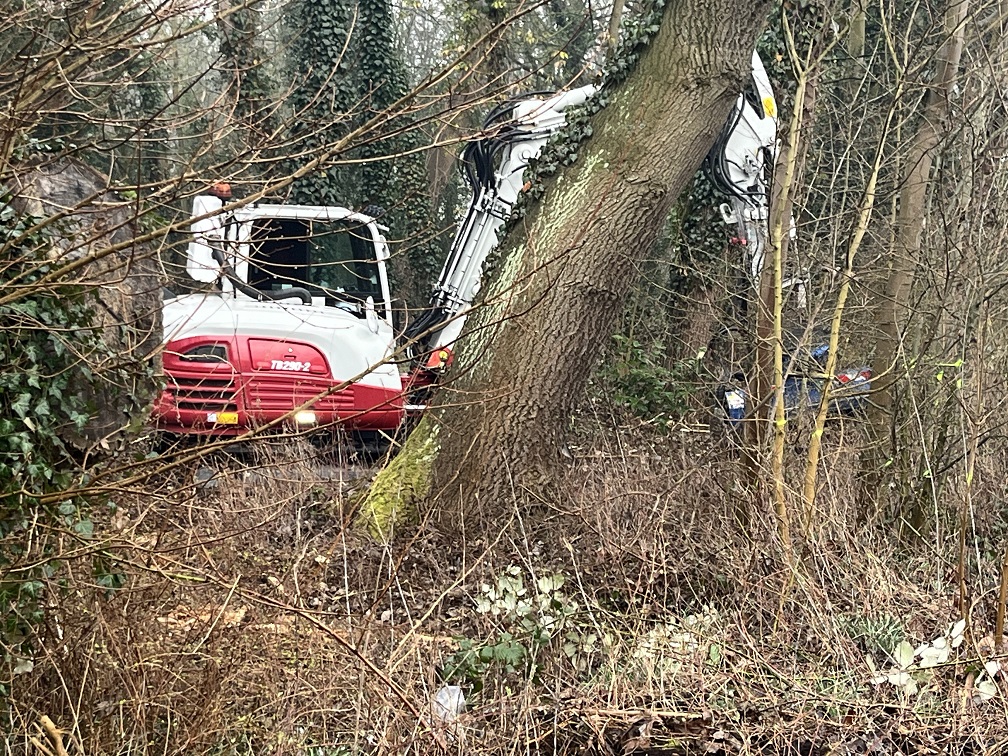 Vernietigende “snoeiwerkzaamheden” in Nieuw Vredenoord!
